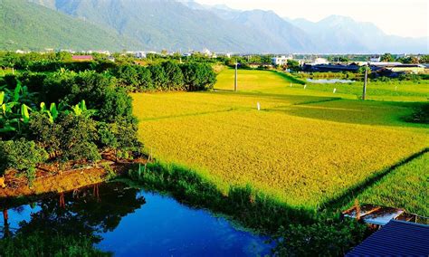 台灣鄉下房子|青年返鄉的安居難題：可遠觀而無法入住的東部閒置空。